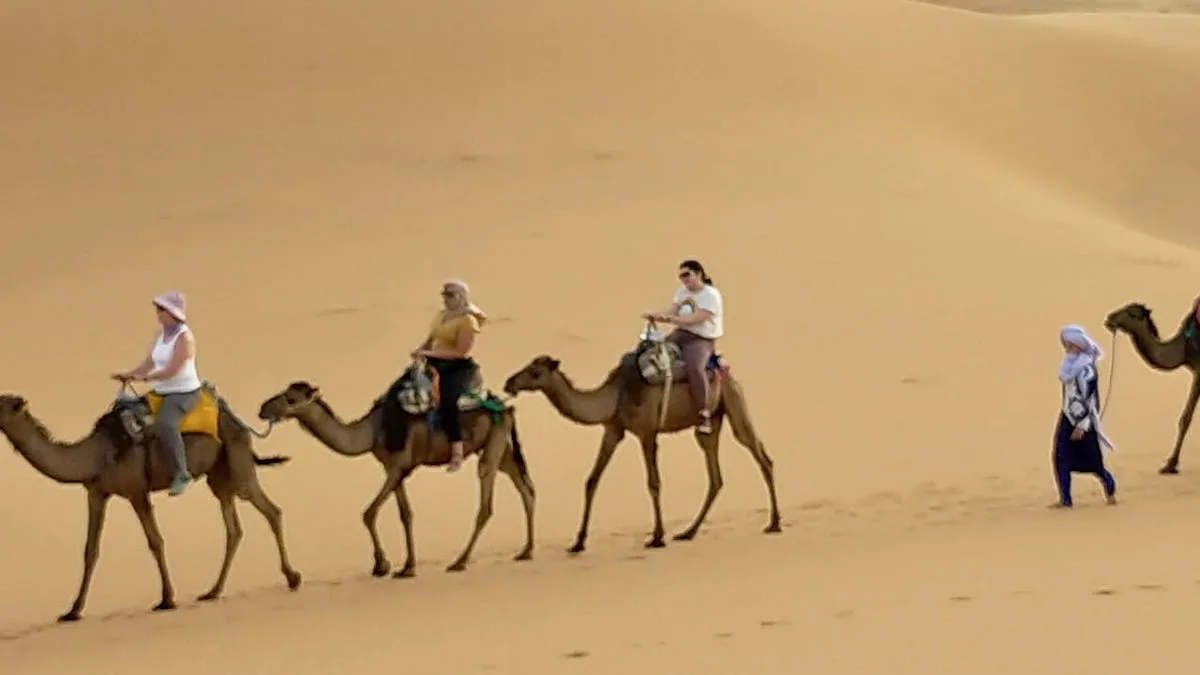 Riding a camel in the Sahara desert (Gina is the one wearing the purple pants, at the end of the line of three camels before the start of the next one).