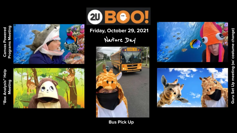 Nature and animal costumes.