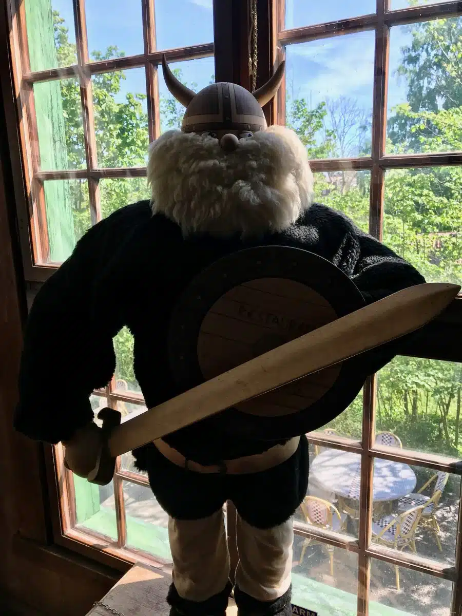 A Viking in Sweden.