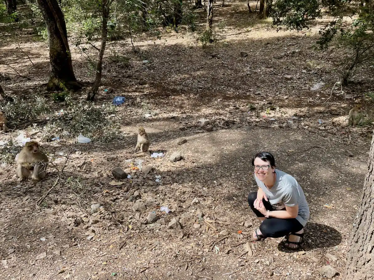 Befriending wildlife during travel.