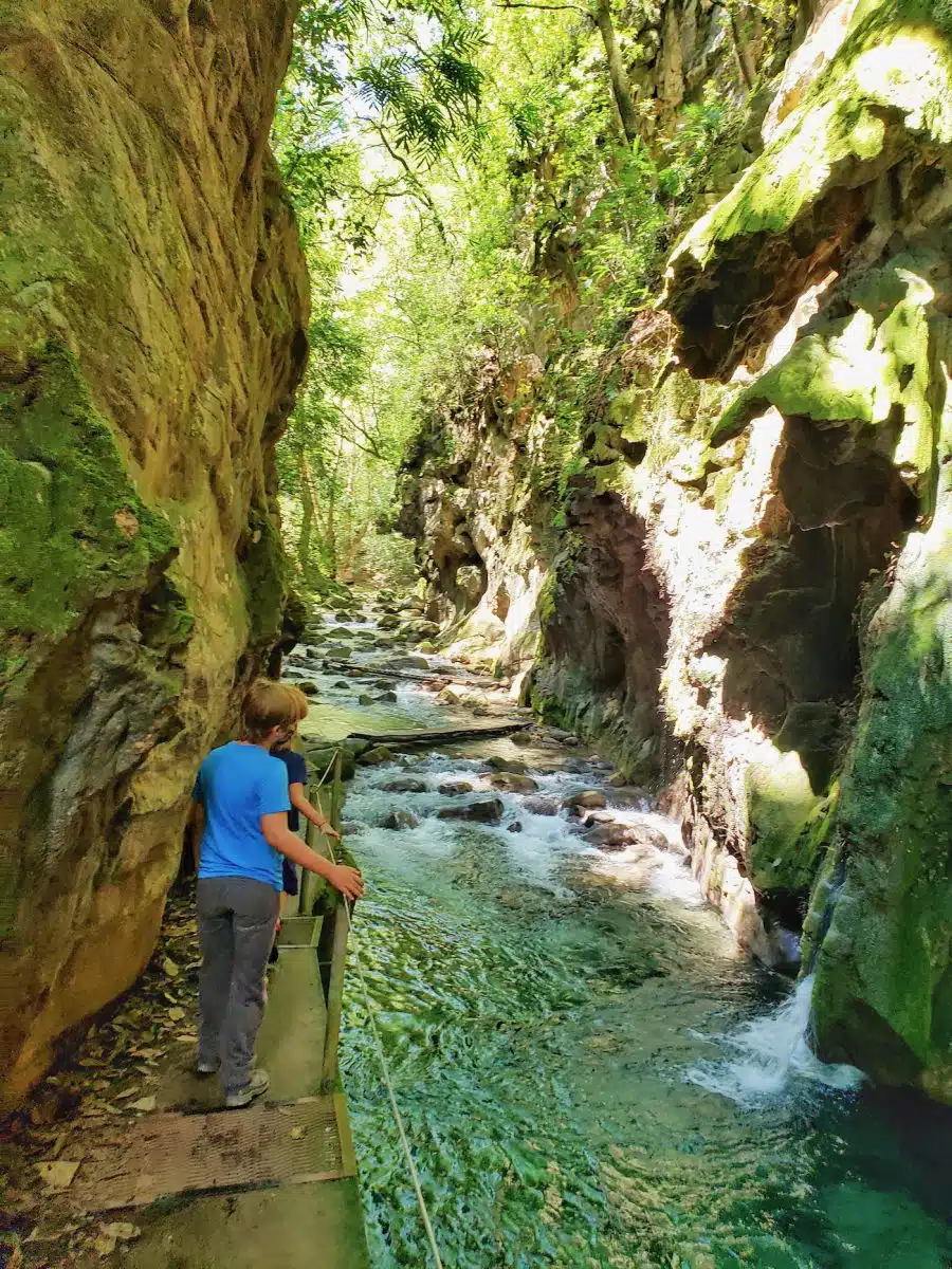Cassie walks in Sierra Gorda, Mexico