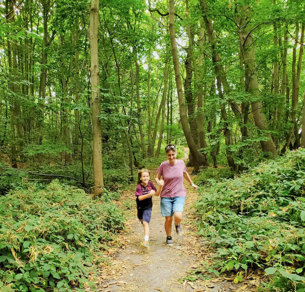 An English forest walk.