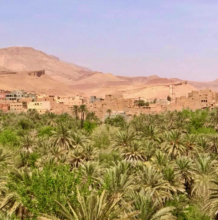 Nature in Morocco.