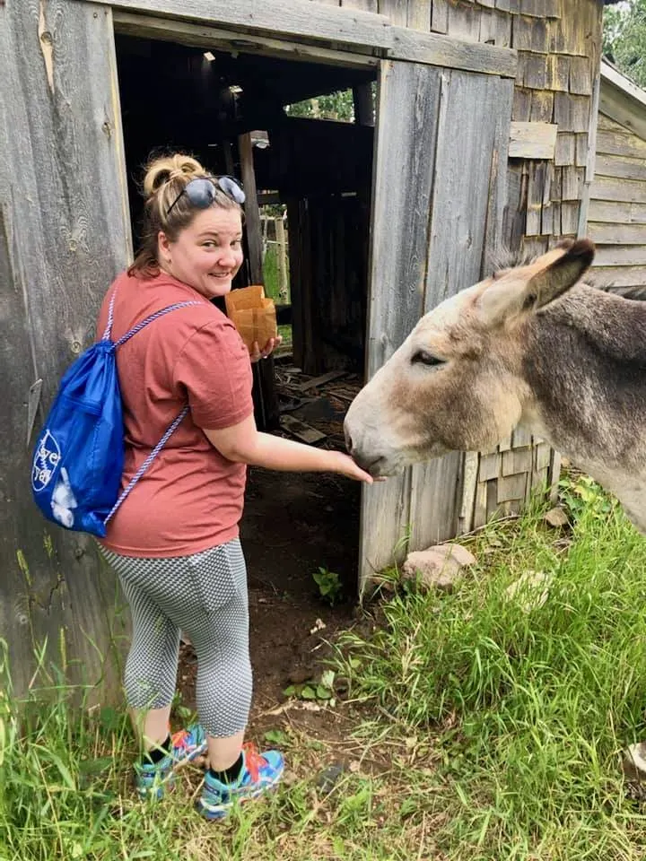 Krista feeding the donkeys in Cripple Creek, CO. Some were very greedy!