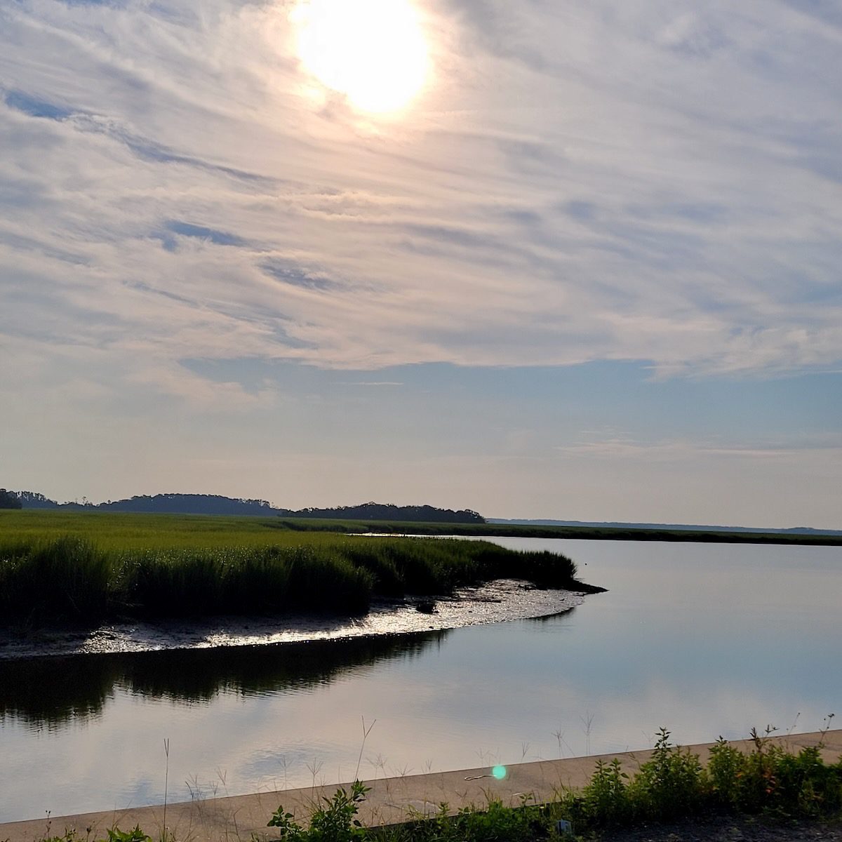 Early Morning Ferry View of Goat Beach, Sapelo Island.
