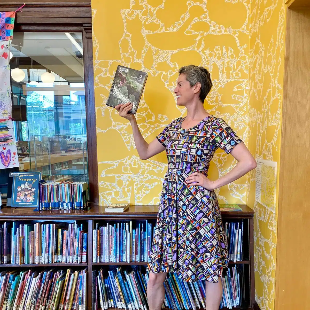 Librarian dress