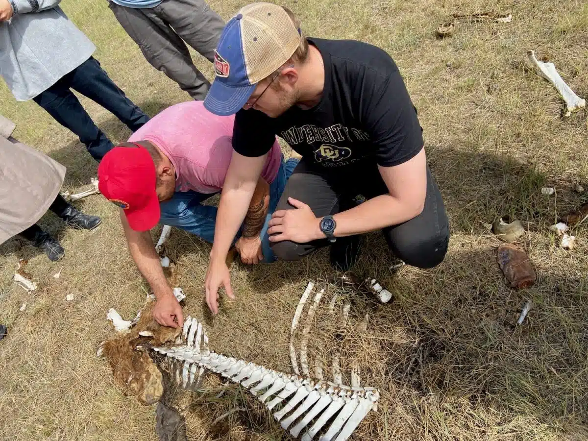 Dr. Isaac Hart and Dr. William Taylor talking to participants about horse bones! (ACMS July 2024).